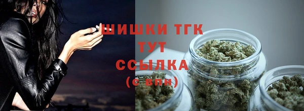 гашик Лабытнанги