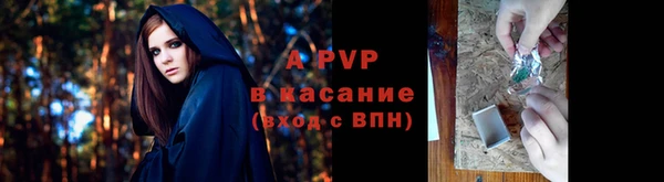 гашик Лабытнанги